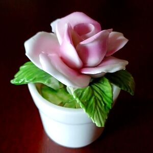 Vintage Radnor Bone China